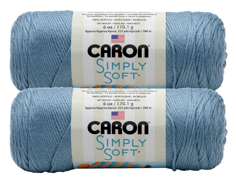 Bulk Buy: Caron Simply Soft Yarn Solids (2-pack) (Light Country Blue)